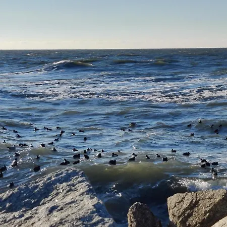 Kapitana Sea Wave Darlowko