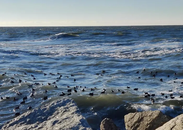 Kapitana Sea Wave Darłówko